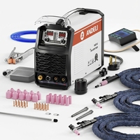 ANDELI Torche TIG TIG-250GPLC/Torche FROIDE/PULSE/Torche PROPRE/INTELLIGENT/Soudage Au-Ag Fabricant de machine à bijoux or argent