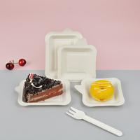 Plateau carré jetable pour gâteau d'anniversaire et dim sum, emballage à emporter biodégradable en bagasse de canne à sucre, assiettes à dessert, barbecue et collations