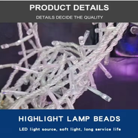 Guirlande lumineuse LED YN Starlight pour fenêtre, rideau de lumières décoratif de Noël intérieur/extérieur, rideau de glaçons IP44, 150 LED, 3M*1M, blanc chaud, AC