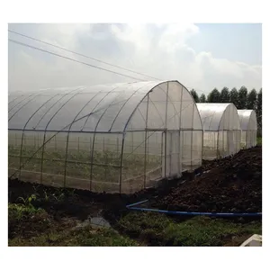 Grande plástico estufa agrícola túnel estufas vegetais para venda