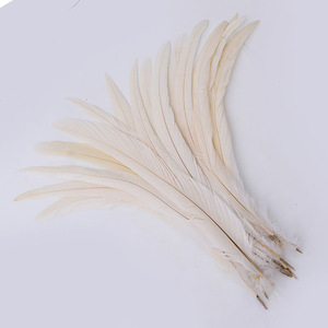 35-40 cm fête carnaval décor bricolage artisanat Floral chapeau chapellerie chapeaux accessoire prune teint poulet coq Coque queue plumes - Product Image 3