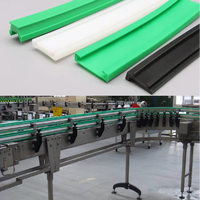 Bande de guidage linéaire en UHMW-PE/Nylon de 300 mm avec service de moulage par injection et de découpe