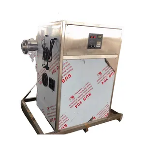 500g 1kg 2 kg/h 오존 발생기 오존 세탁수 처리 기계 환경 보호 기계
