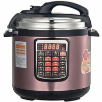 Autocuiseur Électrique Transfrontalier 8L avec Prise Malaisie/UK et Prise Philippines/Moyen-Orient/US