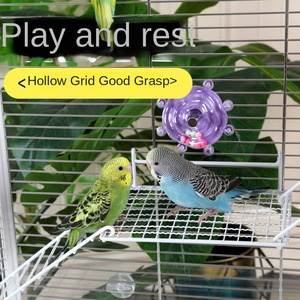 New Parrot Trạm Mạng Nền Tảng Tương Tác Phần Còn lại Trạm Giá Nhảy Nền Tảng Thang Leo Núi Đồ Chơi Thép Không Gỉ - Product Image 4