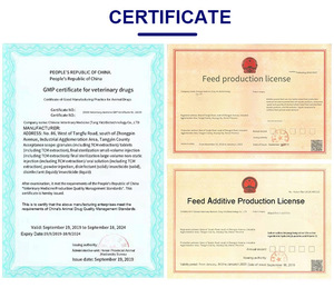 <span class=keywords><strong>Acheter</strong></span> Prémélange d'additifs alimentaires pour volailles de croissance, enrichi en vitamines pour <span class=keywords><strong>poules</strong></span> <span class=keywords><strong>pondeuses</strong></span>, pour l'augmentation de la production d'œufs et la santé <span class=keywords><strong>des</strong></span> poussins - Product Image 6
