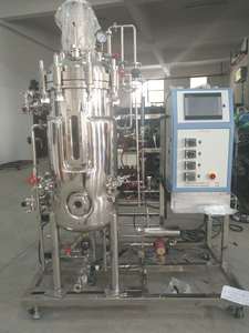 Biorreactor de laboratorio precio barato biorreactor pequeño 20l 50L - Product Image 6