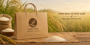 Bolsa de Papel Kraft Marrón Reciclable con Logotipo Personalizado, Bolsa de Compras con Asa, Fabricante y Proveedor OEM de Vietnam - Product Image 1