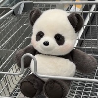 Peluche Panda Mignon, Coussin Panda, Poupée Dormante, Cadeau Unisexe, Polyester Coton PP, 31cm-50cm, 14 ans et plus