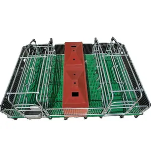 farrowing crates feeders double pig farrowing pens sow pig farrowing crate