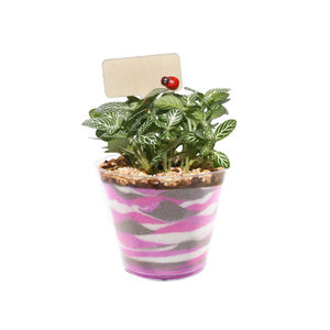 Kit fai da te fatto a mano vaso artificiale fiori naturali da tavolo Bonsai Kit stile Country Design da giardino realizzato in fibra vegetale