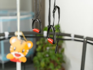 Trampolín de fitness para interior/exterior para <span class=keywords><strong>niños</strong></span>, trampolín para bebés con red cerrada para uso doméstico, cómoda alfombrilla para <span class=keywords><strong>saltar</strong></span>, trampolín para <span class=keywords><strong>niños</strong></span> pequeños - Product Image 5