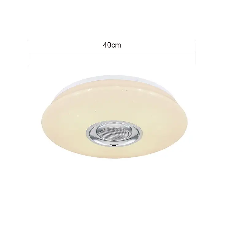 Modern Indoor Dimmable RGB 24W Music Sitting Room Light Led Ceiling Lamp