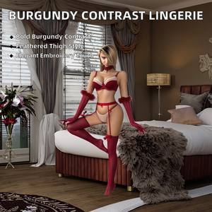 Bordeauxrode huidkleurcontrast sexy handschoenen veren kousen borduurwerk stevige controle lingerie afbeeldingen vrouw kousenband 6-pack - Product Image 2