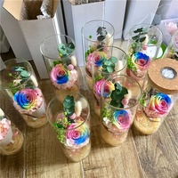 F-1662 Vente en gros Souvenir Bouteille en verre Lumière LED Rose rouge naturelle fraîche conservée pour cadeau de la Saint-Valentin