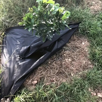 Couvre-sol à membrane tissée Pp tapis de mauvaises herbes en maille rouleau anti-herbe bloqueur de tissu de contrôle des mauvaises herbes tapis de contrôle des mauvaises herbes