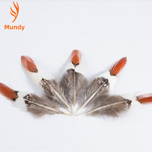 Plumes de poulet sauvage naturelles en gros, plumes de coq dorées, plumes de coq rouges, plumes de coq cuivrées, plumes à pointe rouge, ornements et décorations faits à la main - Product Image 1