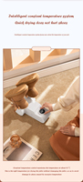 Aetoo — sèche-chaussures électrique, 200W, multifonctionnel et pliable, pour chaussures, avec 120 minutes d'autonomie, nouvelle collection