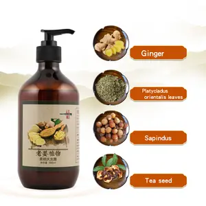 2020 Hot Selling Ginger Anti-hair loss hair growth shampoo for unisex
