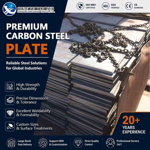 Q345B S355JR Shot Blasted Cold Rolled 5mm 1250mm Punching JIS G3101 Carbon Steel Plate for Machinery - Product Image 1