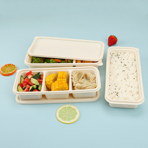 Boîte à Lunch bodum <span class=keywords><strong>thule</strong></span>, sachets biodégradables, jetables, conserve les aliments, ml - Product Image 5