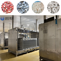 Industriële automatische fluidized bed vriezer, snelvriezer, concurrerende prijs voor snelvriezen van groenten en fruit