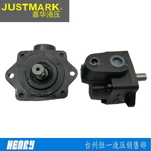 ปั๊มไฮดรอลิกแบบใบพัดเคลื่อนที่คงที่ Justmark DS-13-FR - Product Image 5