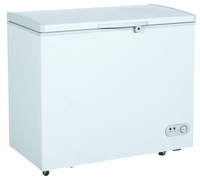 Congélateur horizontal commercial Feilong 138L à porte battante, à ouverture par le haut, électrique, monotempérature, portable, pour affichage unique
