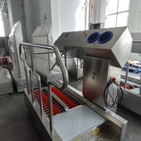 Machine automatique de lavage et de désinfection des bottes pour abattoir de bétail, équipement d'hygiène en acier inoxydable