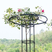 Rose en forme de parapluie grimpant Pergola plante support de fleur assemblage extérieur Pots de fleurs et jardinières