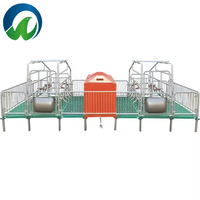 Équipement d'élevage porcin : Cages pour truies, caisses de mise bas, caisses d'élevage/d'allaitement avec mangeoires pour l'élevage de porcs