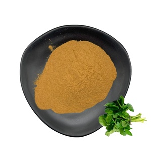 Extracto de berro orgánico de Nasturtium Officinale, extracto de semilla en polvo, extracto de berro orgánico, polvo de berro - Product Image 1