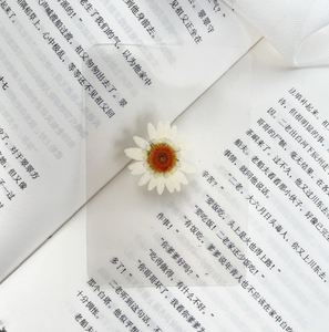 Marcapáginas de flores secas selladas de plástico, marcador de espécimen botánico, hoja plástica <span class=keywords><strong>Real</strong></span>, marcador de libros plastificado, palo de disparo - Product Image 6