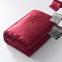 ÉCHANTILLON GRATUIT vente en gros de refroidissement d'été personnalisé satin de soie imité soulagement de l'anxiété couverture lestée personnalisée fournisseur de couette