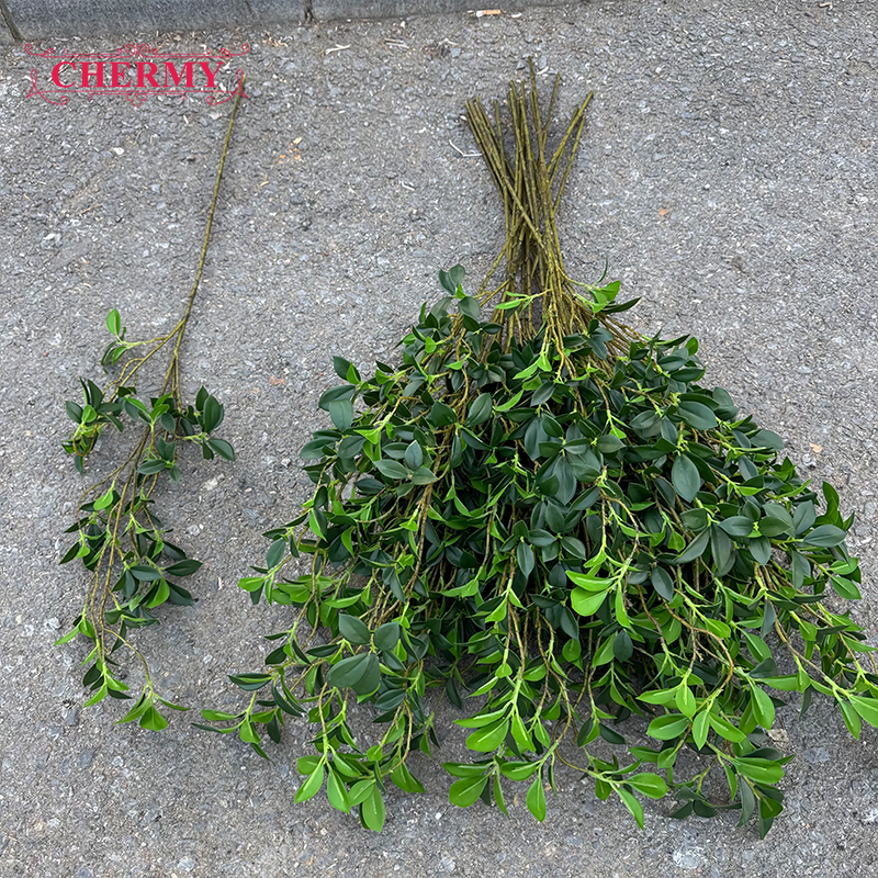 สีเขียว