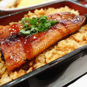 Iqf Conger Eel Iqf Conger Eel Suppliers And Manufacturers At Alibaba Com