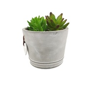 Pots de fleurs d'intérieur modernes gris clair pour bonsaïs Pot de plantes de jardin rond Matériau en ciment