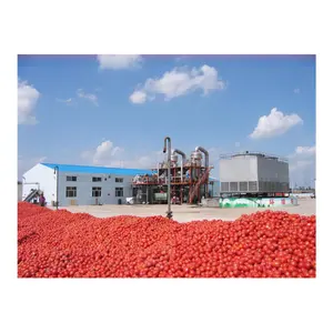 Canned tomato paste processing plant / tomato jam production line