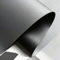Écran de projection réfléchissant en métal souple 3D 4K pour projecteurs LCD, 100 pouces, gain élevé, écrans 3D gris cristal