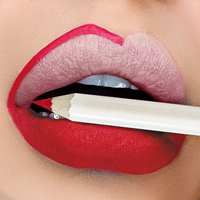 Crayon à lèvres végétalien en gros sous marque privée, haute pigmentation, lisse, sans cruauté animale, noir et brun foncé