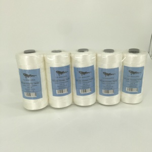 Hot Bán Trong Ghana Chất Lượng Cao 210D Nylon Câu Cá Twine 185 + 22G Polyester Câu Cá Twine Và Nylon Câu Cá Chủ Đề - Product Image 3