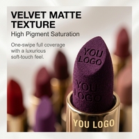 Rouge à lèvres vegan longue tenue, résistant aux bavures, 24 couleurs tendance, vente en gros, étiquetage OEM, emballages multiples, imperméable, best-seller