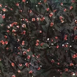 Prix de luxe de la dalle de granit <span class=keywords><strong>noir</strong></span> brésilien en métal <span class=keywords><strong>noir</strong></span> - Product Image 2