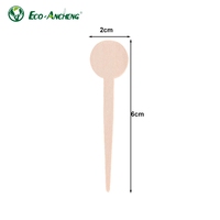 Bâtonnets mélangeurs jetables en bois de bouleau naturel de 6 cm, tête ronde, pointe effilée, écologiques, avec prise en main confortable