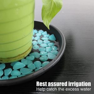 Factory Price Durable Black PP <b>Plastic</b> Flower <b>Pot</b> Saucers Hydroponic Tray Portable Outdoor Garden Decoration All-Season Use - Product Image 4