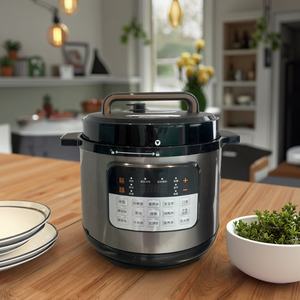 Temporizador de 24 horas con pantalla LED de retardo, olla a presión eléctrica, menú de 14, tres opciones de sabor, acero inoxidable, aluminio, alemán, 1, 2, 1, 2, 2 - Product Image 1