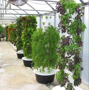 Tour de culture verticale pour légumes, système hydroponique vertical pour la culture de carottes - Product Image 6