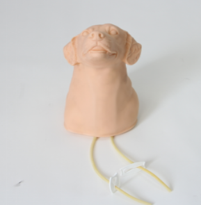 Model Pengambilan dan Infus Darah Vena Jugular Anjing untuk Ilmu Kedokteran - Product Image 3