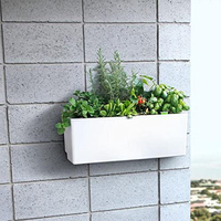 Lit de jardin surélevé auto-arrosage, trous de Drainage du système pour la croissance intérieure et extérieure des légumes, des fruits, des fleurs et des herbes boîte/