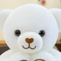 Nouvel Ours en Peluche Personnalisé Saint-Valentin Anniversaire Express Amour OEM/ODM Vente en Gros en Maille PP Rembourré Doux Jouet Anti-Stress